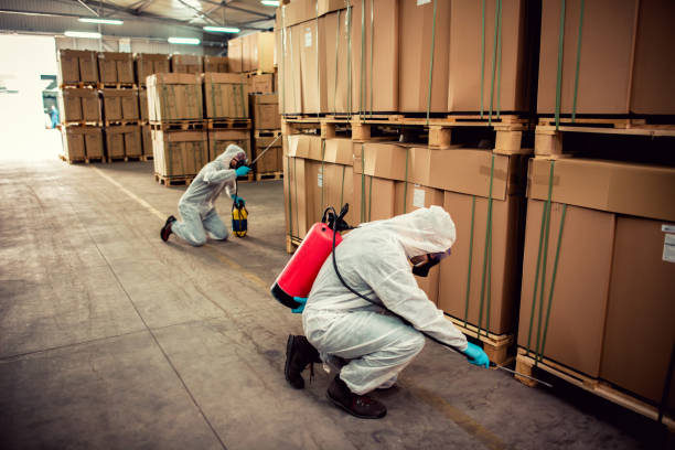 Best Pest Control Cost  in Lone Star, TX
