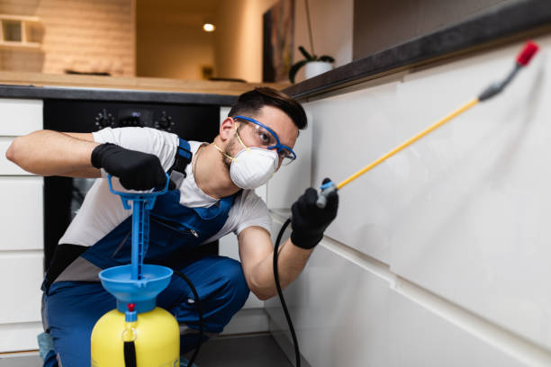 Best Cockroach Control Services  in Lone Star, TX