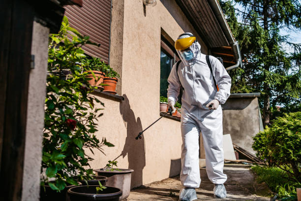 Reliable Lone Star, TX Pest Control Solutions