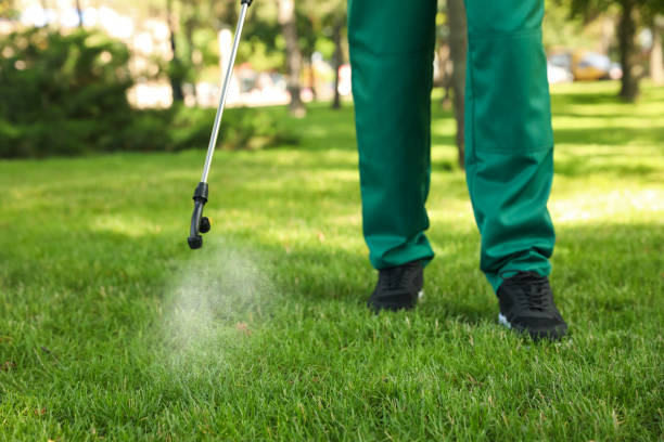 Best Emergency Pest Control  in Lone Star, TX