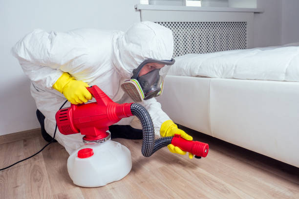 Pest Prevention Services in Lone Star, TX